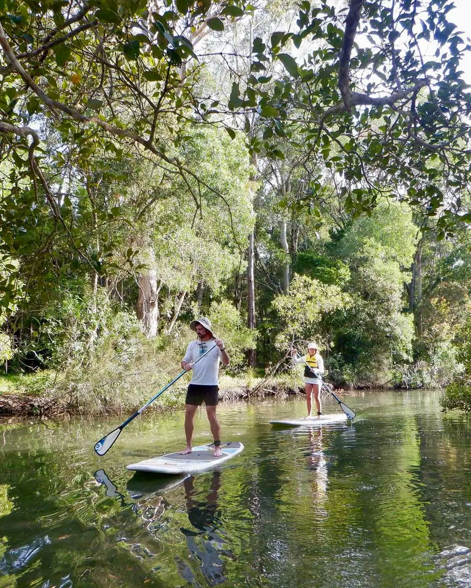 Stand Up Paddleboard in Cape Byron Marine Park, Australia