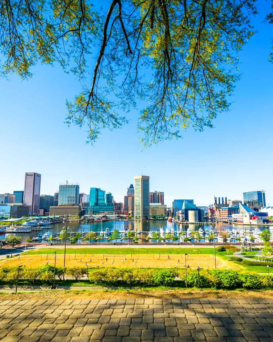 View of the Inner Harbor from Federal Hill Park in Baltimore, Maryland 4
