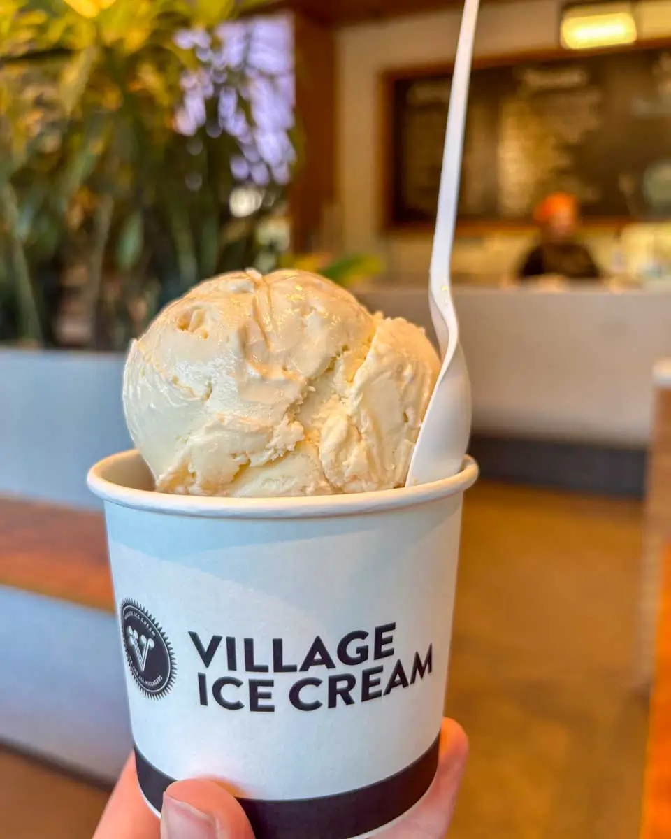 Village Ice Cream in Calgary, AB (3)