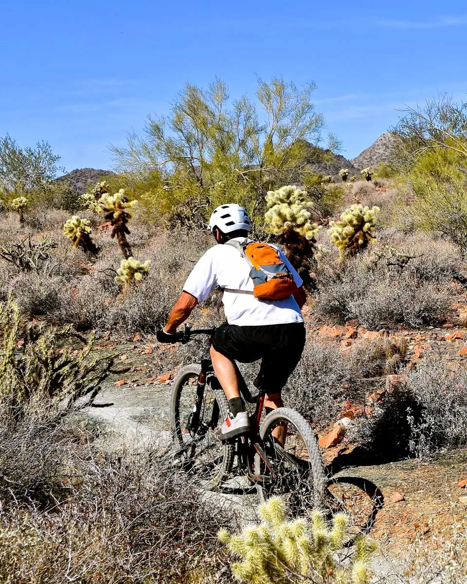 A biker heads up a rugged trail Saguaro National Park, Tucson Arizona