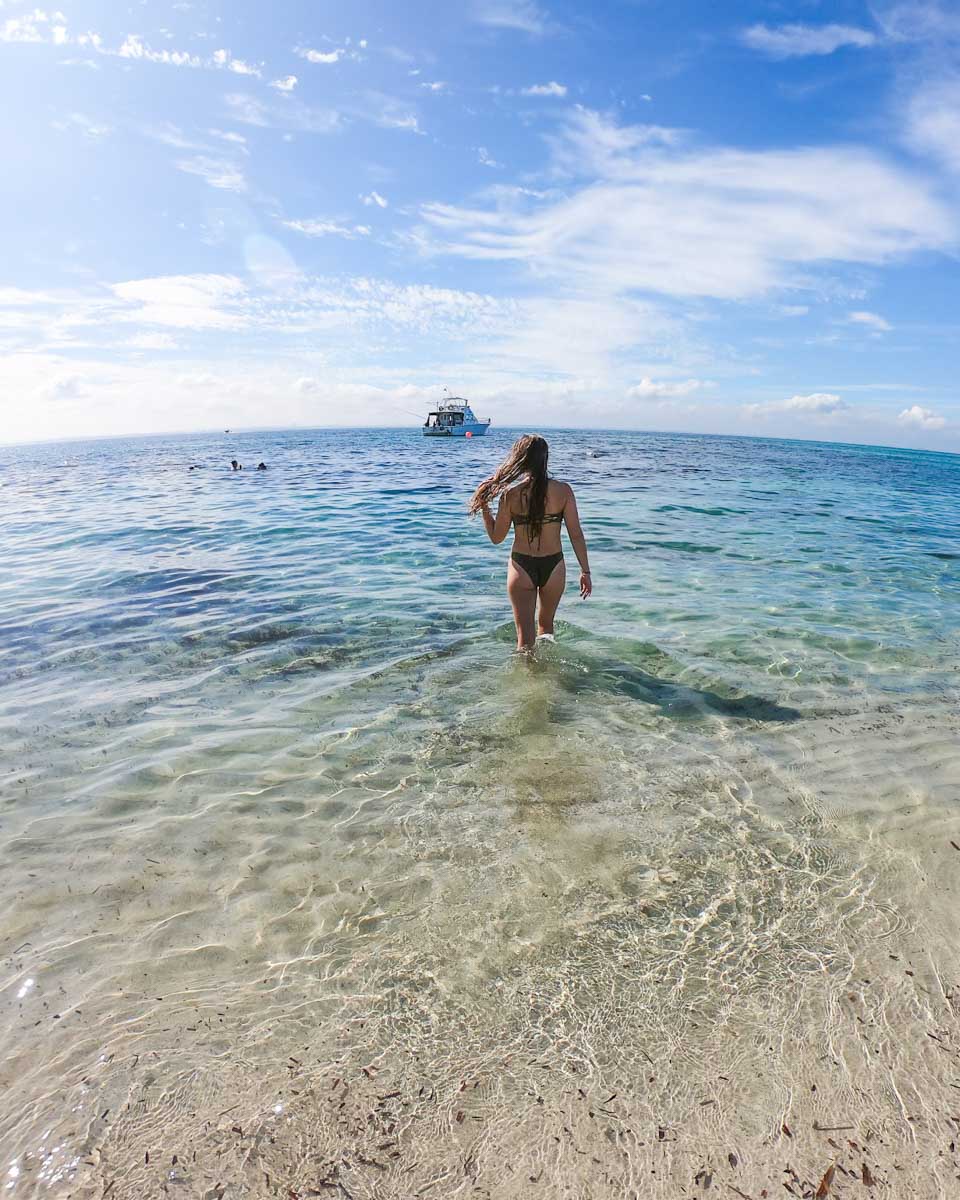 Bailey walks into the ocean near Fort Myers, Florida