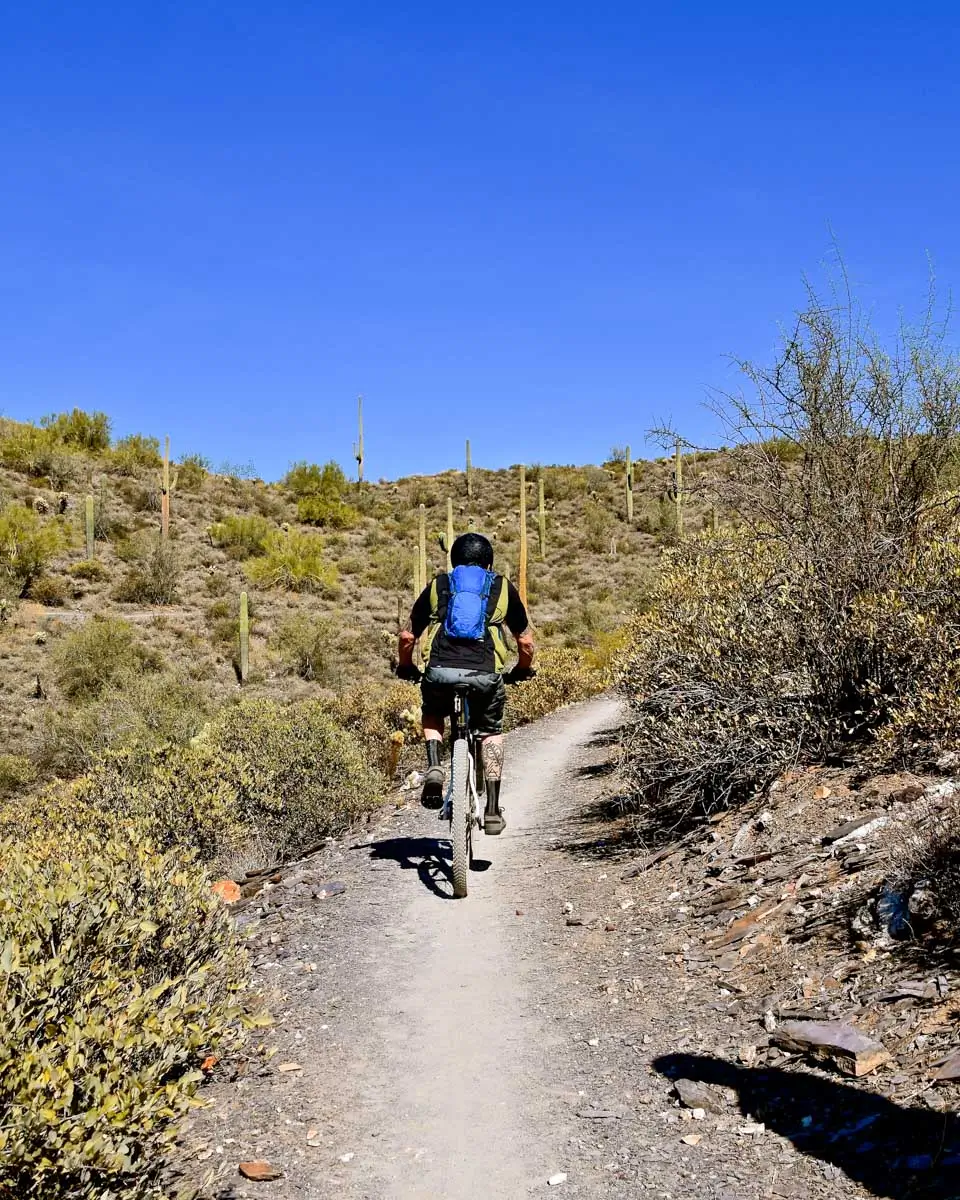 Bike tour in Saguaro National Park, Arizona
