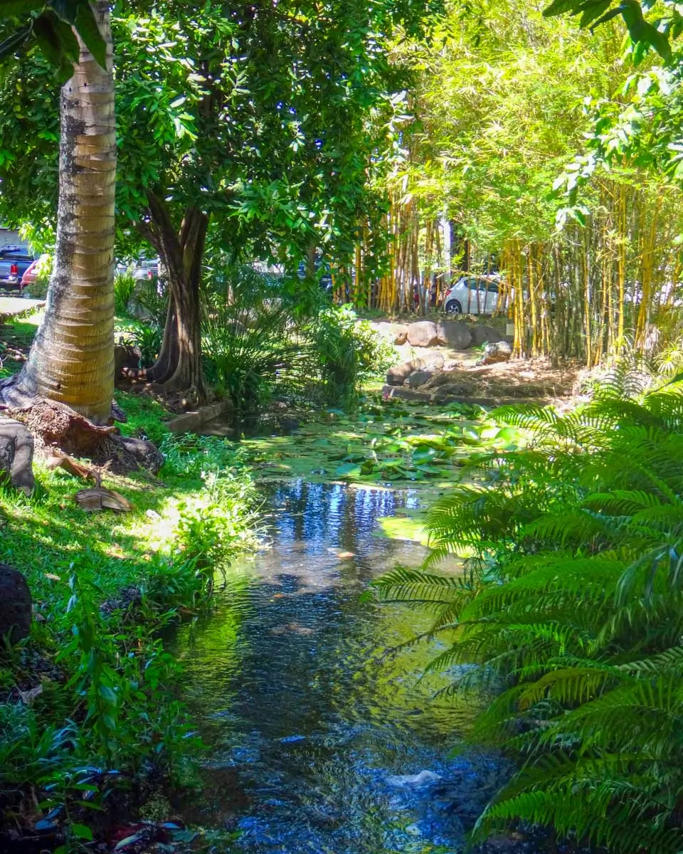 Bougainville Park in Papeete, Tahiti
