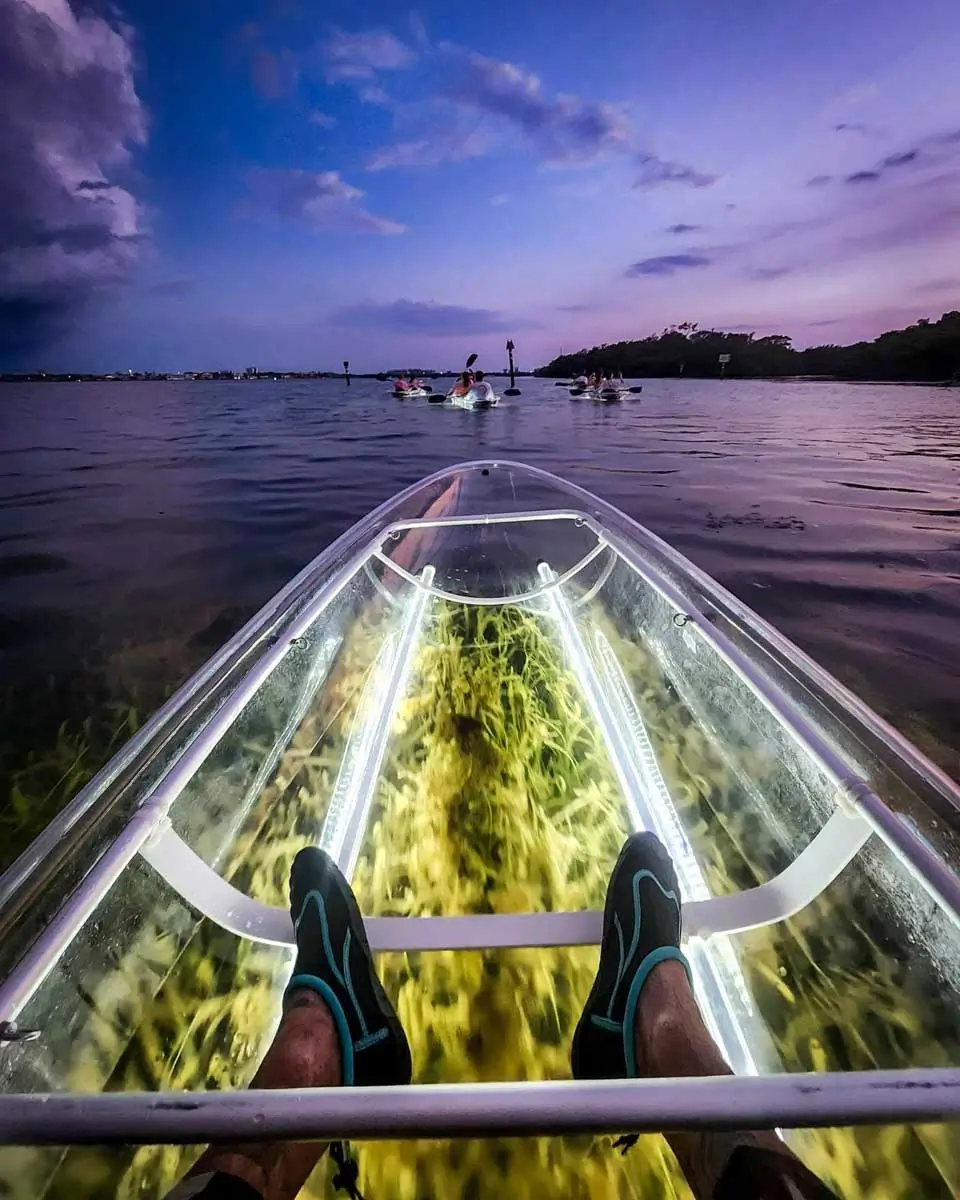 Clear Kayak LED Night Glass Bottom Tour in Sarasota, Florida