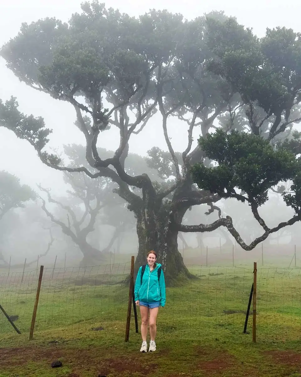 Hannah taking photo in front of tree at Fanal forest, Madeira, Portugal