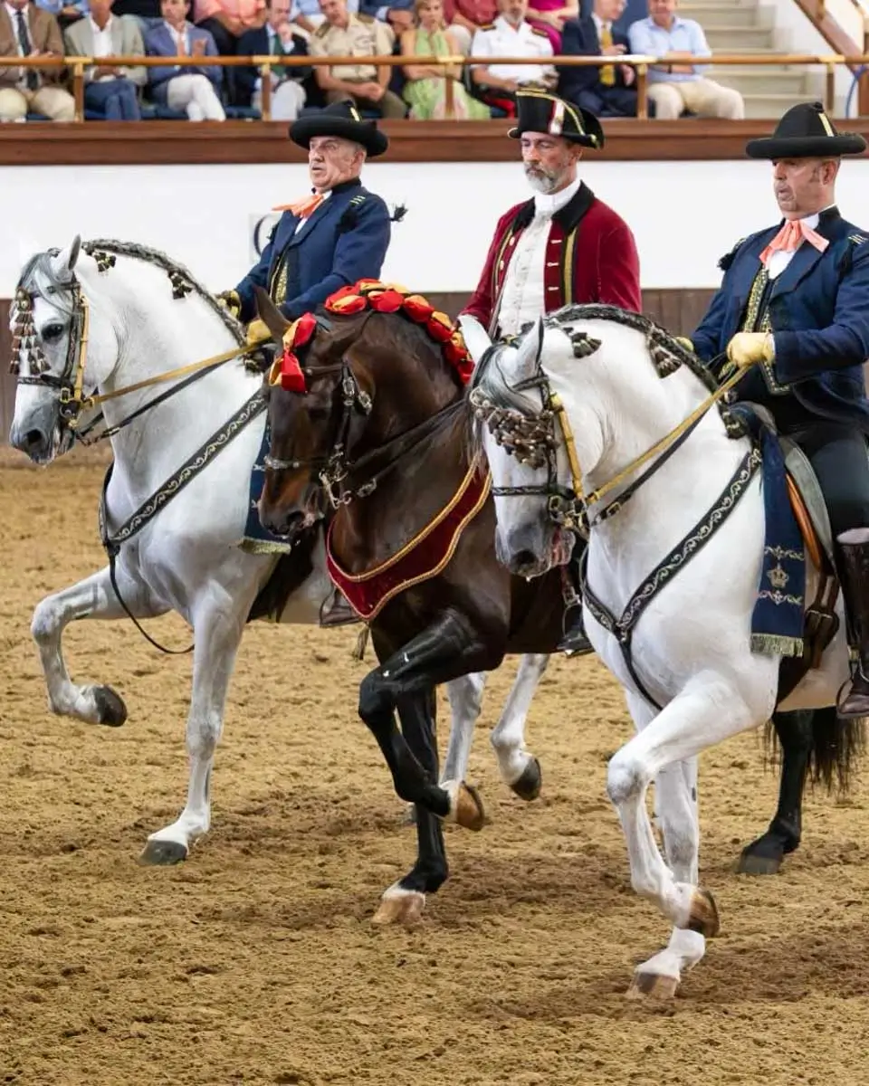 Horse riding show at Real Escuela Andaluza del Arte Ecuestre, Cadiz, Spain