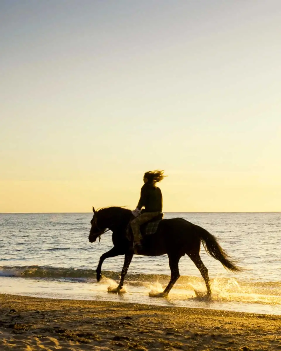 Horseback riding at a beach in Cadiz, Spain