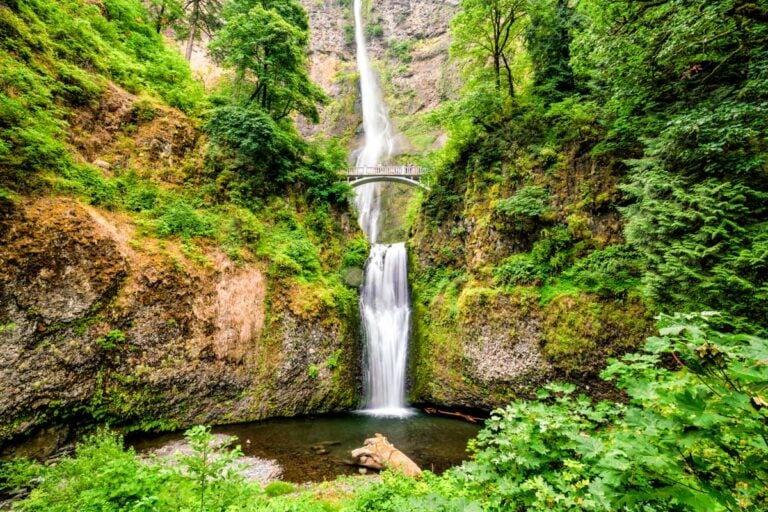 Multnomah Falls in the Columbia River Gorge