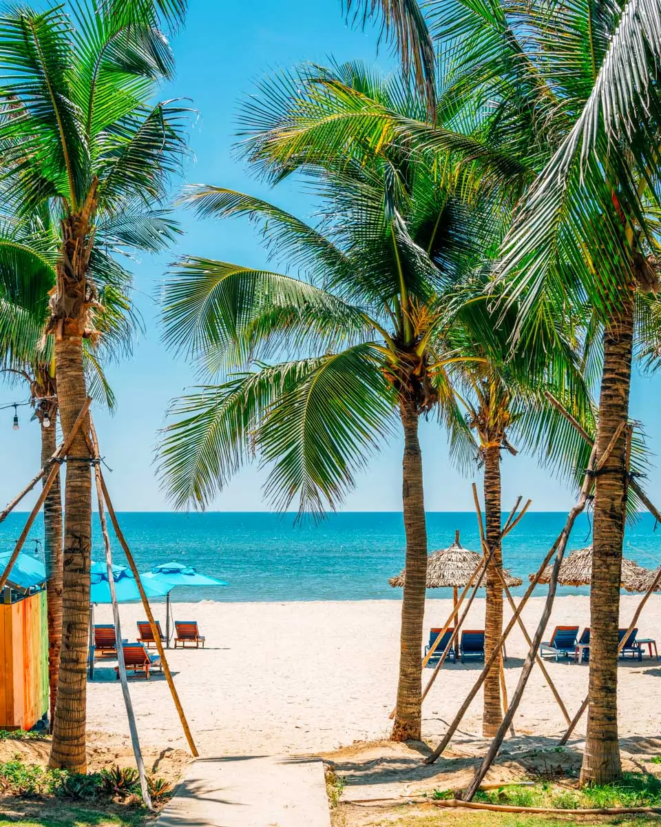 My Khe Beach with palm trees in Da Nang, Vietnam