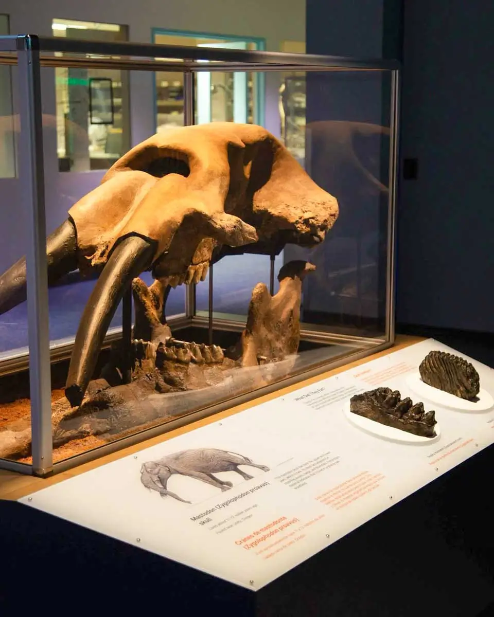 Oregon Museum of Science and Industry (OMSI), Portland, Oregon