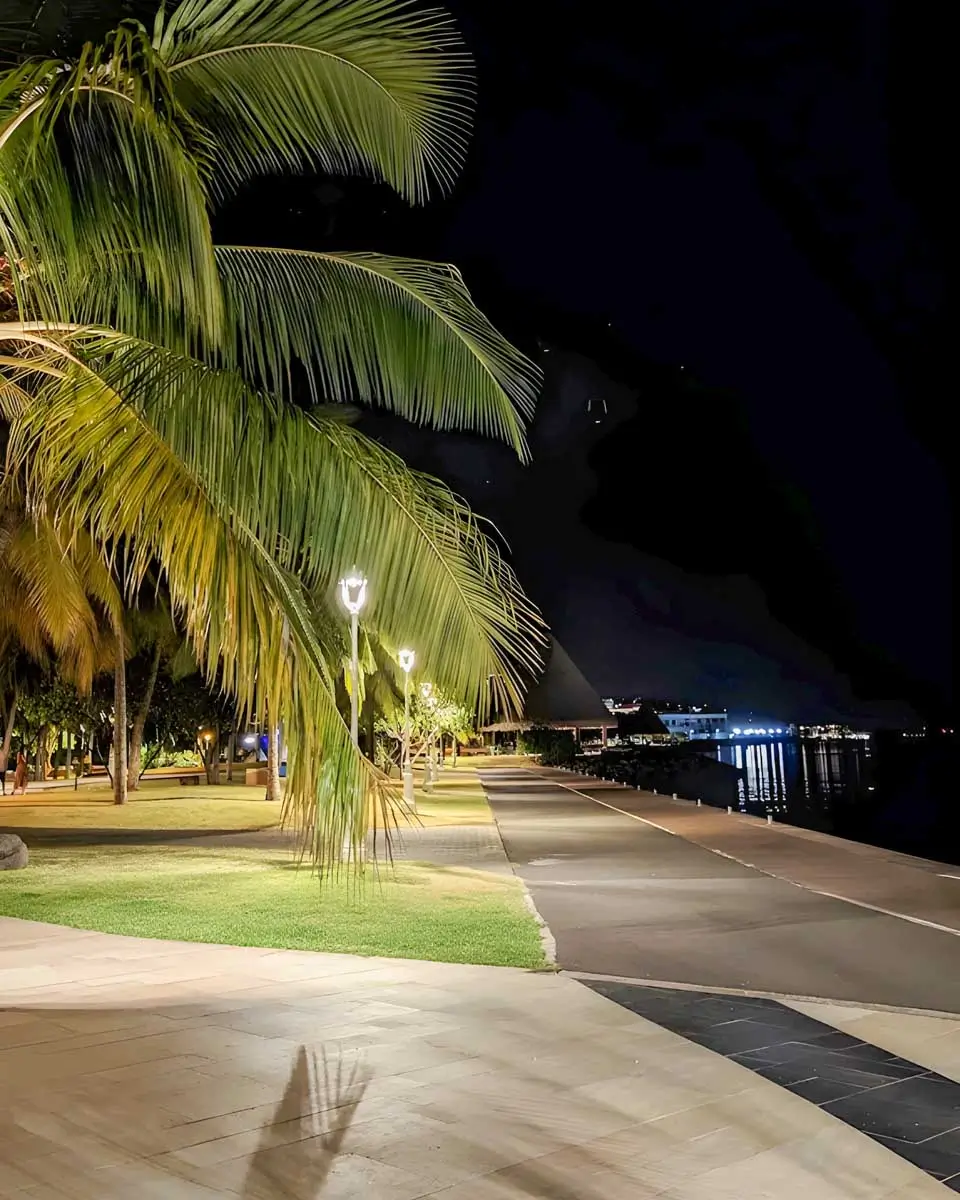 Papeete Harbor at night in Tahiti 1 (1)