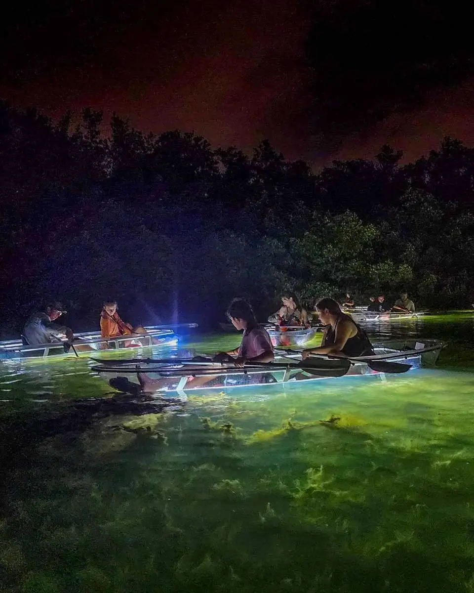 People on a Clear Kayak LED Night Glass Bottom Tour in Sarasota, Florida