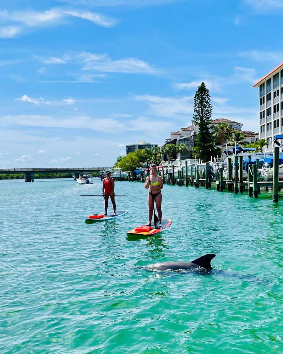 People paddle board with dolphins in Fort Myers Florida