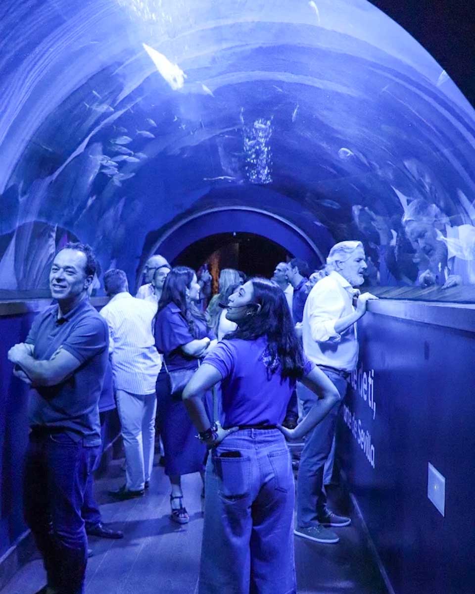 People stand in under a tank tunnel in the Sevilla Aquarium