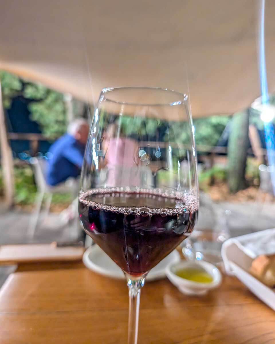 Red-wine in Mendoza, Argentina