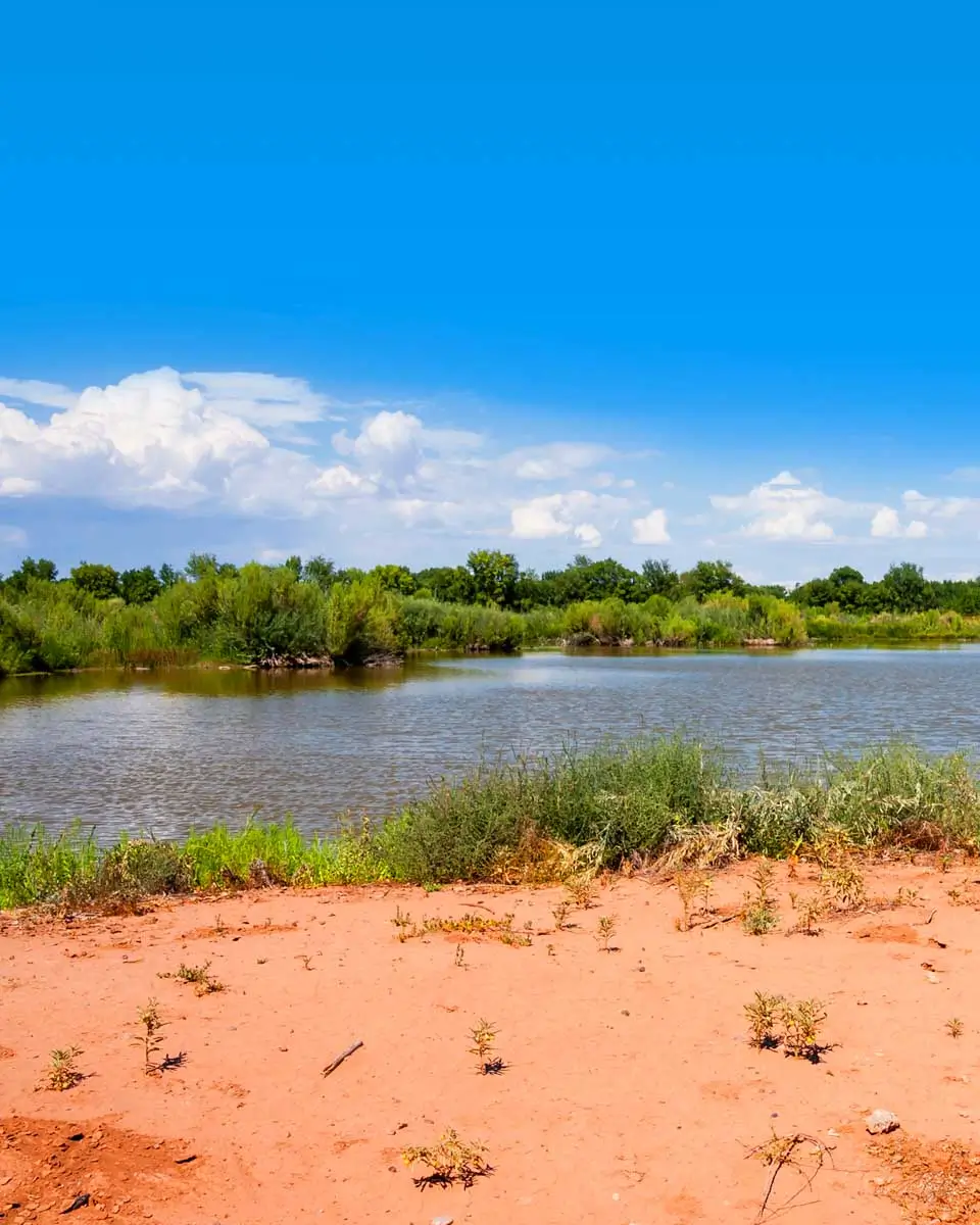 Rio Grande Nature Center State Park, Albuquerque, New Mexico