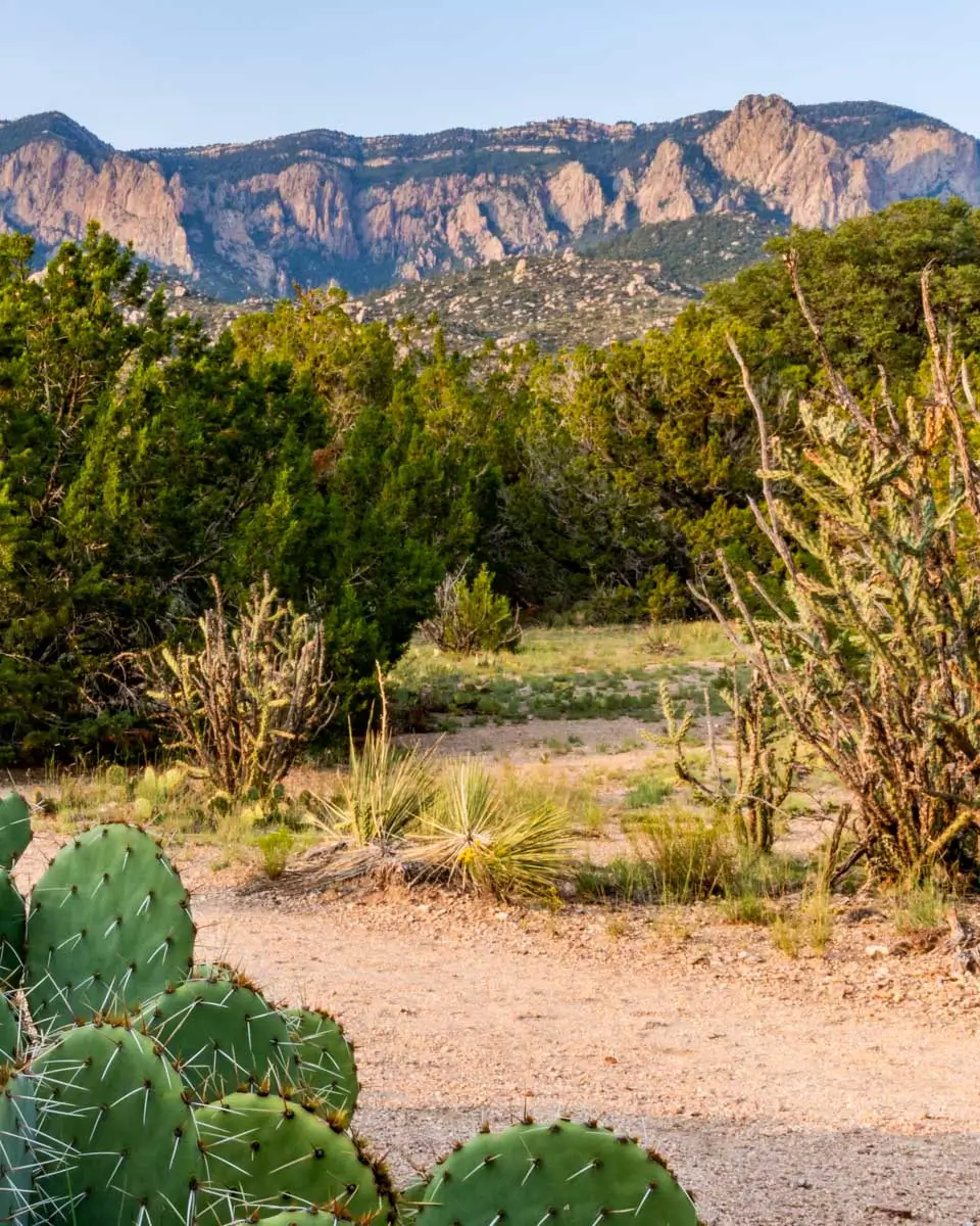 Sandia Foothills, Albuquerque, New Mexico