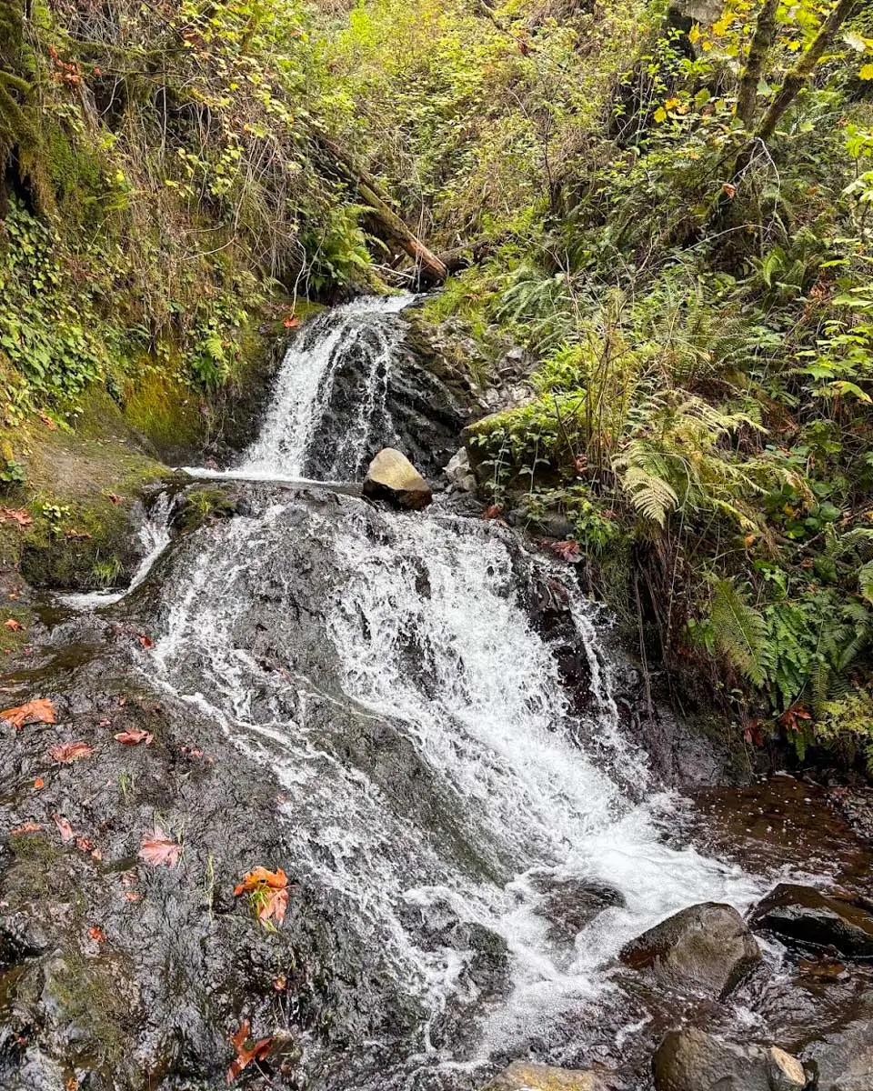 Shepherd Dell Falls in Portland, Oregon 