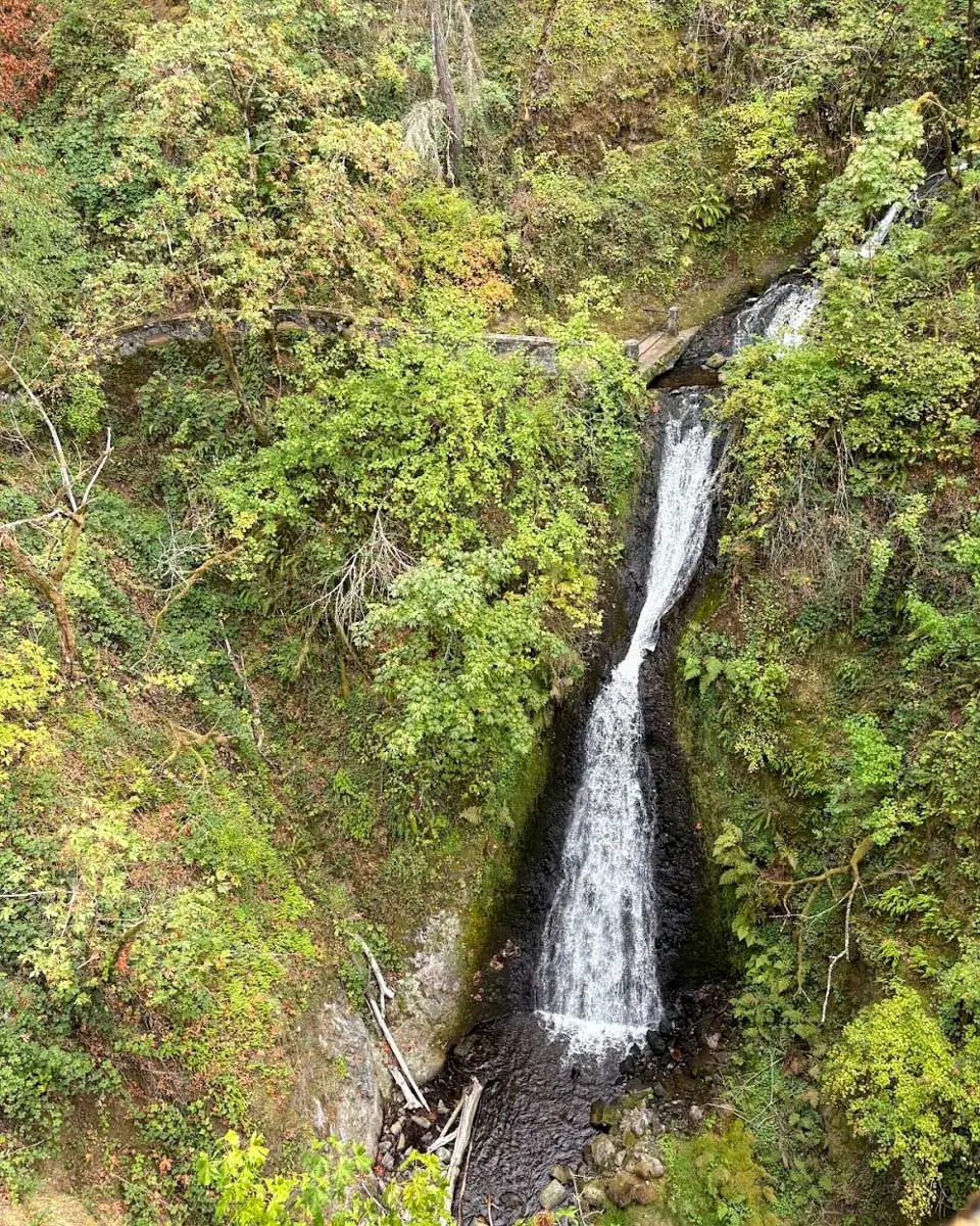 Shepherd Dell Falls in Portland, Oregon