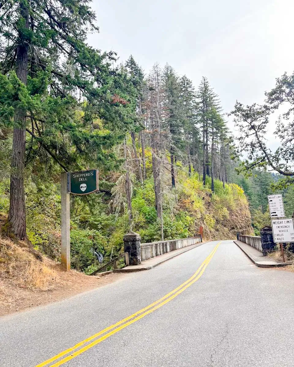 Shepherd Dell Falls sign and road Oregon