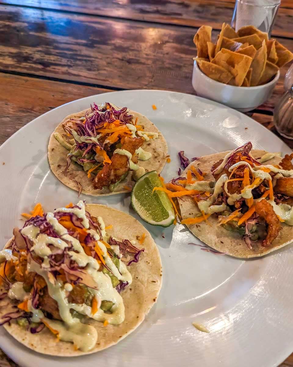 Tacos eaten on a food tour in Sarasota, Florida