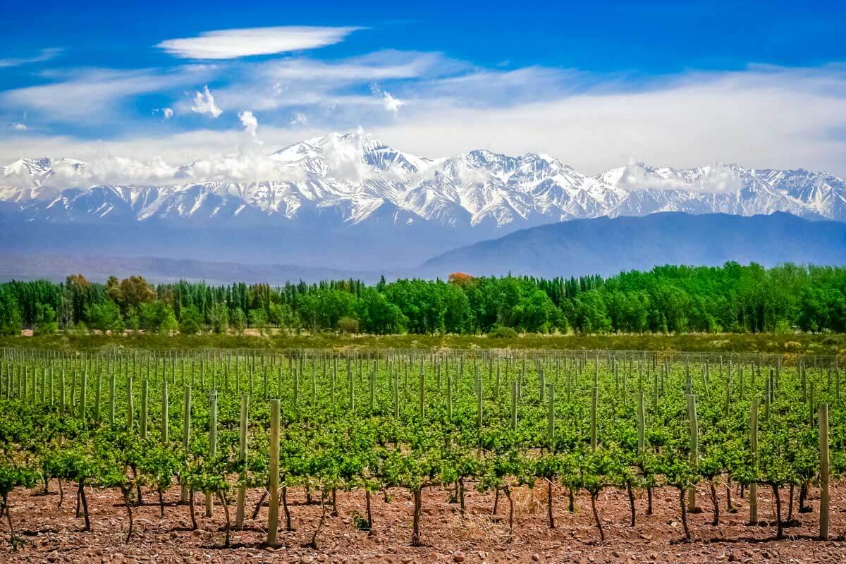 Uco Valley wine region near Mendoza, Aregentina 1